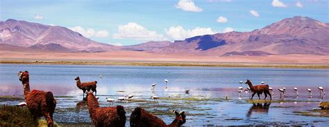 Tours y viajes San Pedro de Atacama en 5 días