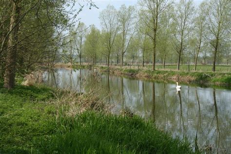 River Stour, Suffolk/Essex border © John Lemay cc-by-sa/2.0 :: Geograph ...