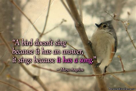 Inspirational Quotes About Birds. QuotesGram