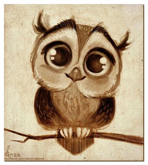 Cute Baby Owl Drawing