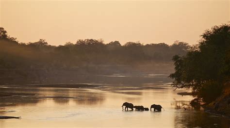 Visit South Luangwa National Park: 2024 Travel Guide for South Luangwa ...