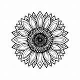 Premium Vector  Sunflower coloring Pages sunflower Outline sketch template