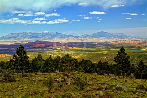 Boulder Mountain, Utah | Water Dancer Photos