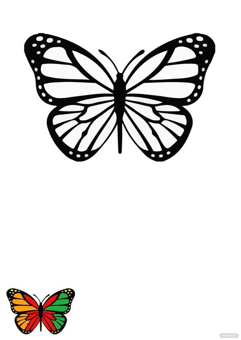 Rainbow Butterfly Coloring Page in JPG, PDF, EPS - Download | Template.net