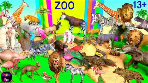 Zoo Animals - Lion Elephant Zebra Giraffe Hippo Rhino 13+ - YouTube