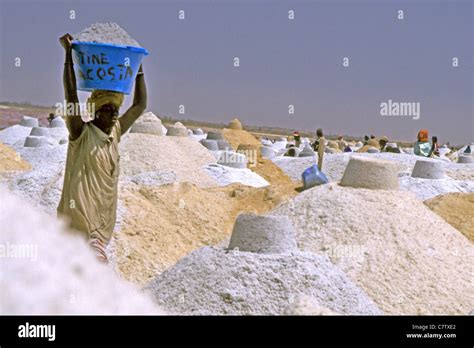 Salt extraction on Pink Lake, Senegal Stock Photo - Alamy