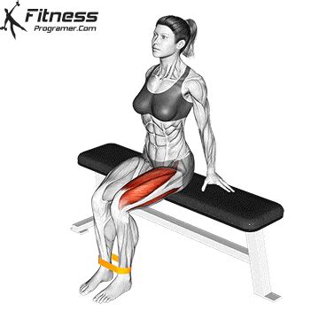 Seated Leg Extension With Resistance Band » Workout Planner