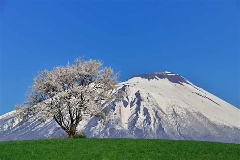 岩手山・南部片富士 | kanmurimoriのブログ