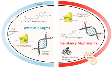 Antibiotics | Free Full-Text | Antimicrobial Resistance and Its Spread Is a Global Threat