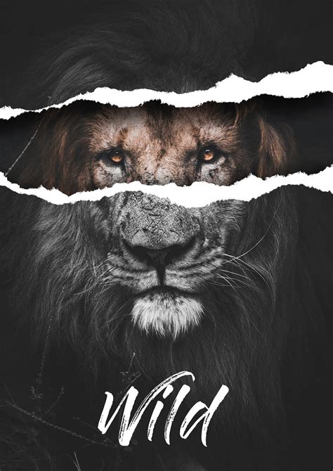 Lion, poster on Behance