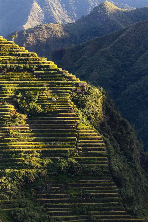 Amphitheater Rice Terraces of Batad, Banaue, Philippines. [OC] : r/Philippines