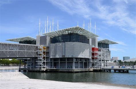 Lisbon Oceanarium - Alchetron, The Free Social Encyclopedia