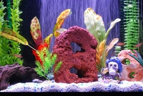 Photo #2 - This Shot Is A Little Closer. - RateMyFishTank.com