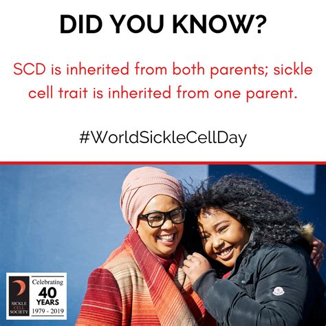 Did You Know 1 (Instagram) » Sickle Cell Society