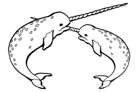 Shamu Coloring Pages - Cliparts.co