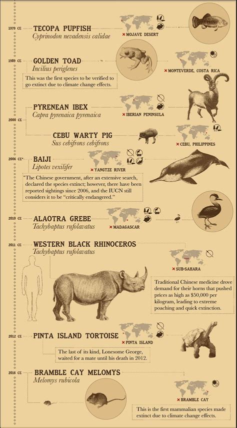 Extinct Animals List By Year