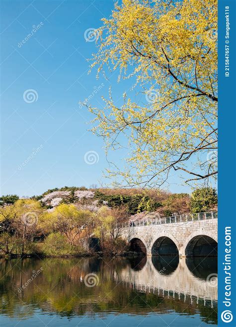 Spring of Seoul Grand Park in Gwacheon, Korea Stock Image - Image of nature, seoul: 215847657