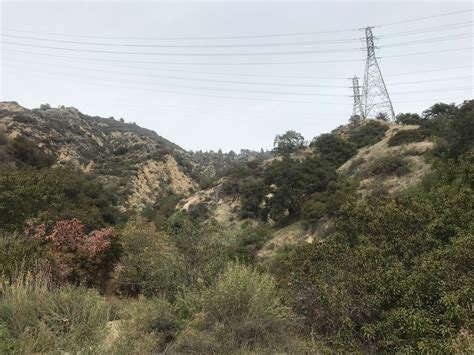 Eaton Canyon Falls: Pasadena's Infamous Waterfall Hike