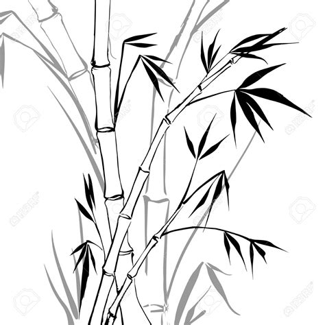 Bamboo Tree Drawing at GetDrawings | Free download