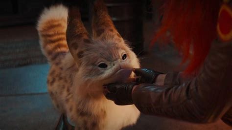 Ahsoka fans are all obsessed with the Loth-cat - Dexerto