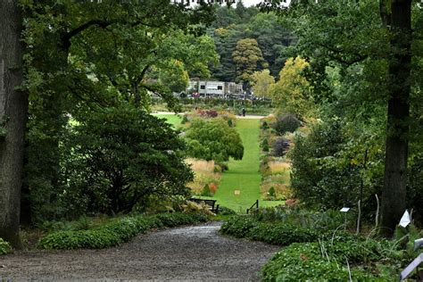 RHS Harlow Carr, Sculpture Trail © Michael Garlick :: Geograph Britain and Ireland