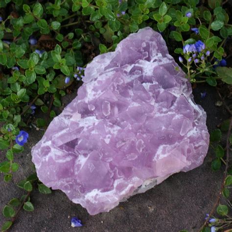 Pink Fluorite Crystal Cluster from Mexico 3.70 x | Etsy | Fluorite crystal, Crystals, Fluorite