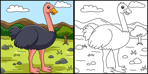 Ostrich Coloring Page Vector Illustration 5561700 Vector Art at Vecteezy