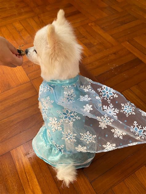 Elsa Dog Costume Halloween Frozen Princess Dress Girls Dog | Etsy