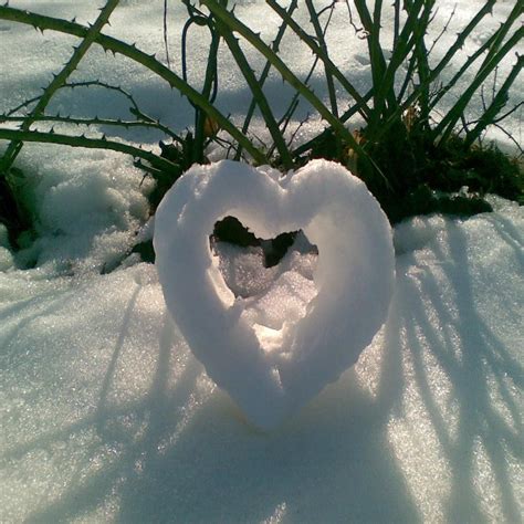 Snow heart - Wallpaper.rocks | Beleza, Hart, Fitness