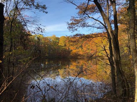 Take This Scenic Trail For A Colorful Fall Foliage Hike In Wisconsin