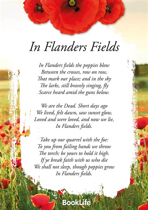 Flanders Field - Domenic Olds