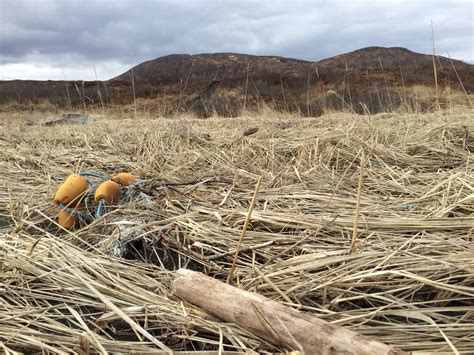 Found a washed up gill net riding down the line. Togiak, Alaska March 2015 | Scenic tours ...