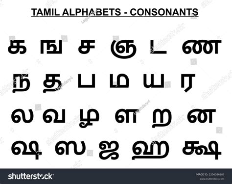 Tamil Alphabet Chart With Sinhala