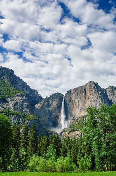 9.200+ Cascadas De Yosemite Fotografías de stock, fotos e imágenes libres de derechos - iStock