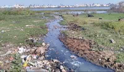 Chennai: Sembakkam lake, a de facto dumping ground, to be restored ...