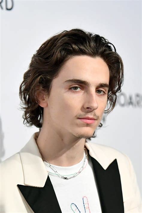 Timothée Chalamet, I Love You, but Please Shave Your Mustache Moustache ...