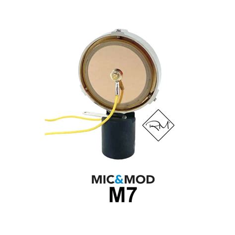 All about the Microphone capsule - Mic & Mod