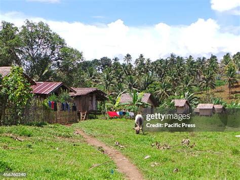 Subanen Tribe Photos and Premium High Res Pictures - Getty Images