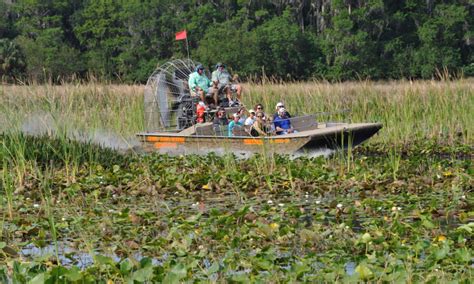 Gatorland and Boggy Creek Airboat Combo Ticket | Do Something Different