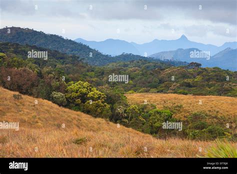 World's end horton plains national park hi-res stock photography and ...