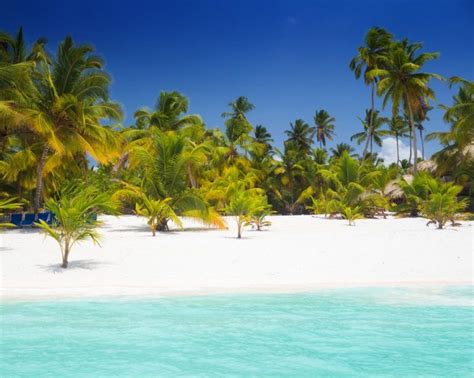 Visit Saona Island With Family, What to See and Do - Lopesan Playa Bávaro