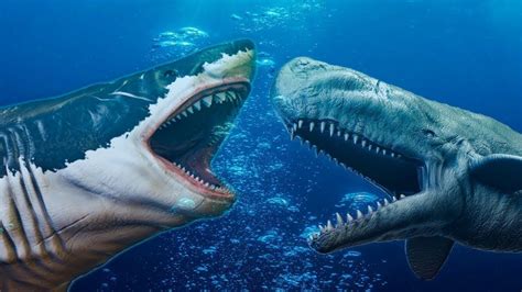 Megalodon Size Vs Mosasaurus : Megalodon Mosasaurus | Garnrisnet