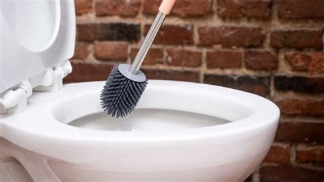 The Best Toilet Brushes of 2021 – Garmur Design