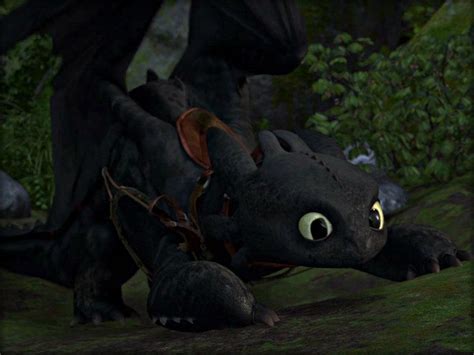 Toothless the Dragon Wallpaper: ★ Toothless ☆ | How to train your dragon, How train your dragon ...