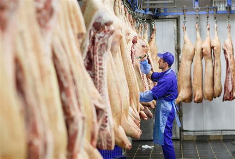 Butcher Cutting Pork at the Meat Manufacturing. Stock Image - Image of animal, cutting: 154248781