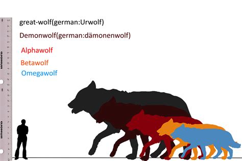 Wolf Vs. Dog Size Comparison