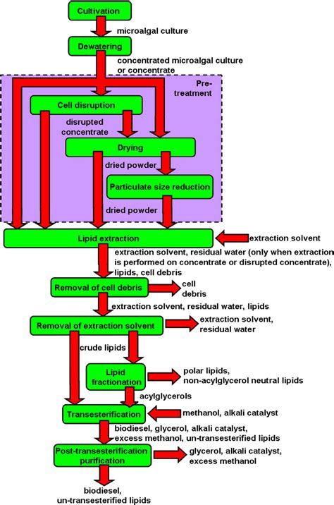 Fig. 4. Process flow diagram showing the downstream processing steps needed to produce biodiesel ...