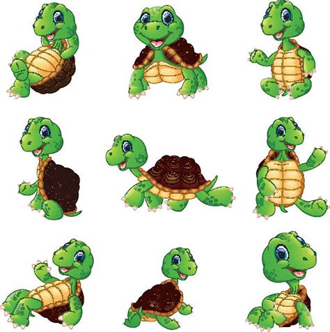 Turtle Walking Illustrations, Royalty-Free Vector Graphics & Clip Art - iStock