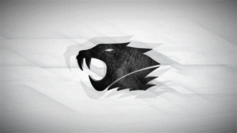 IBP Wallpapers - Wallpaper Cave