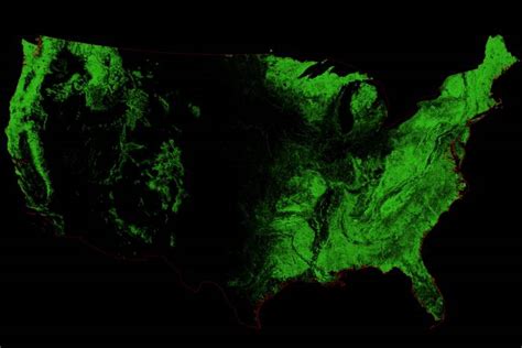 If There Were Only Trees: Maps Show World's Forests